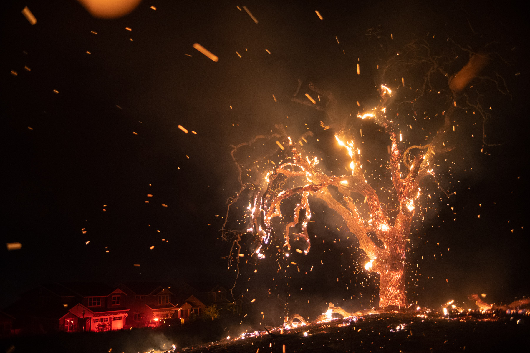 FIRE_2020_Sashwa_SAS02455