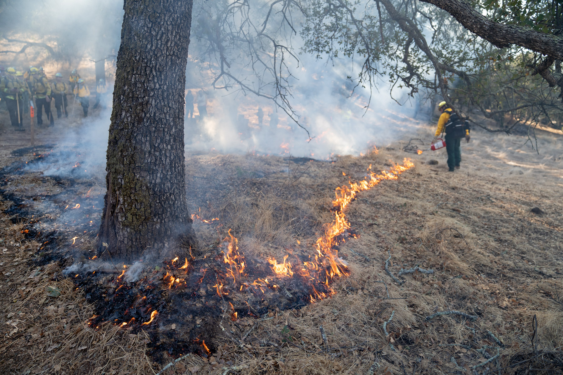 FIRE_2020_Sashwa_SAS08939