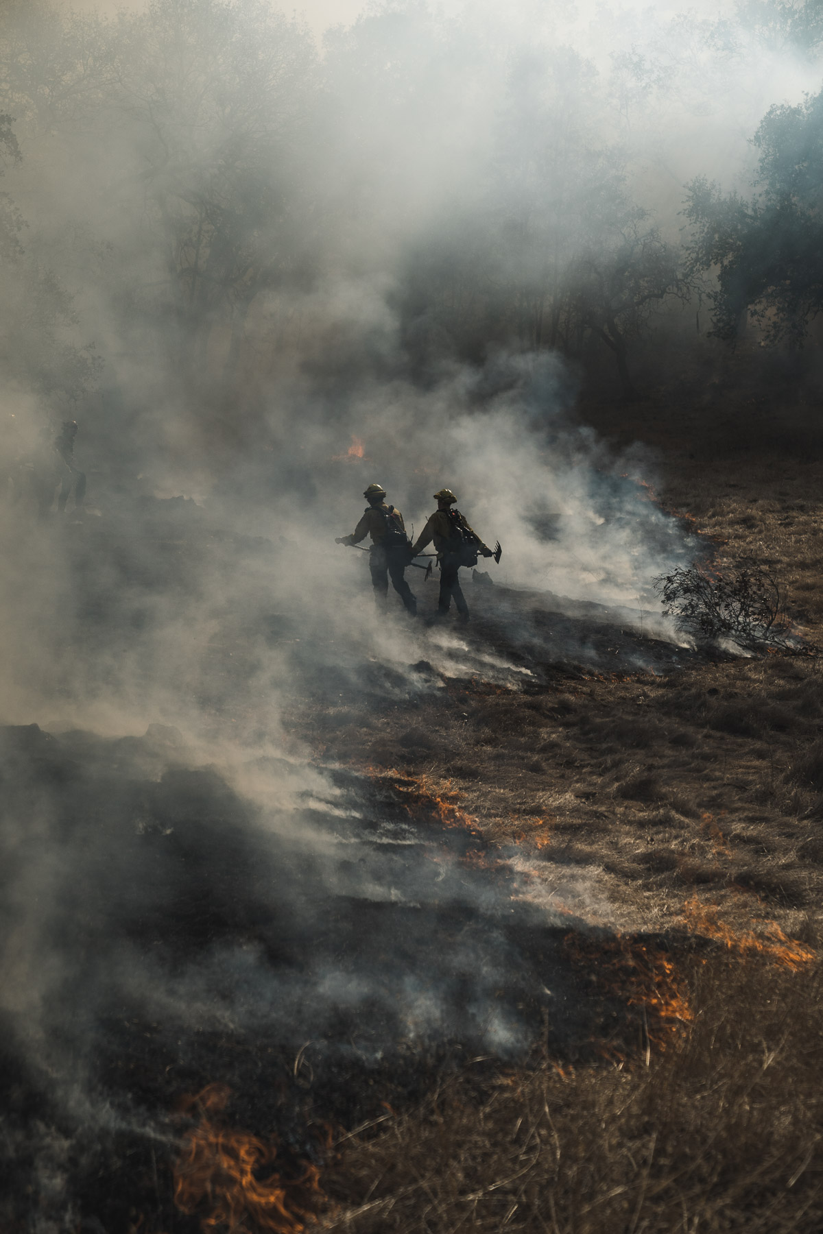 FIRE_2020_Sashwa_SAS09493